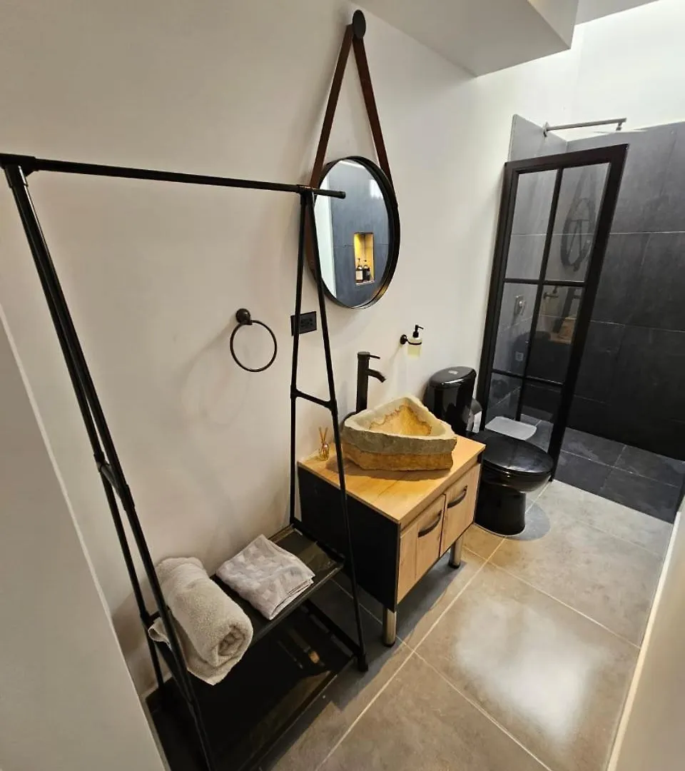 公寓 麦德林Loft En El Poblado公寓